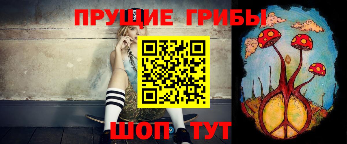 Псилоцибиновые грибы Psilocybine cubensis  Вход с VPN  Вологда 