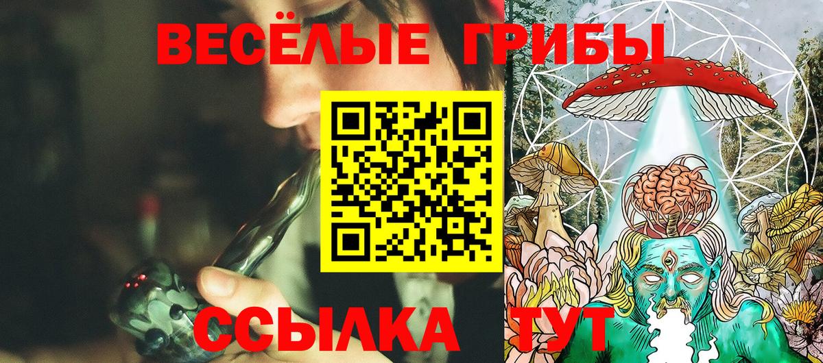 Псилоцибиновые грибы мицелий Вологда