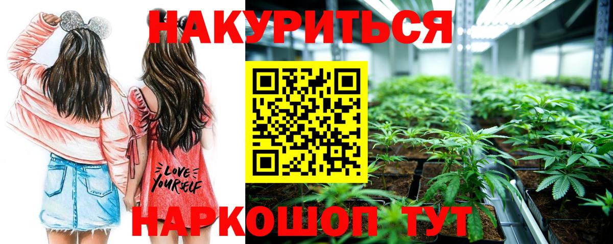 Каннабис White Widow  Вход с VPN  МАРИХУАНА план  Канабис LSD WEED  Вологда 